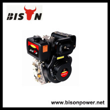 BISON (CHINA) z170f motor diesel